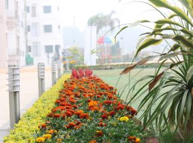Panthashala resort view in Shantiniketan 3
