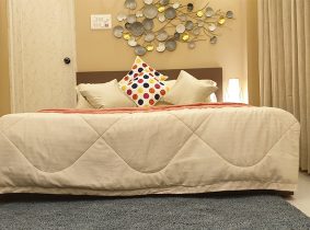 Panthashala Dooars Deluxe Room Interior Image 4