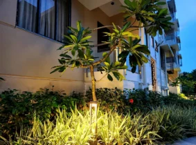 Panthashala Resort View in Dooars 8