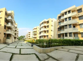 Panthashala Resort View in Dooars 28